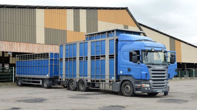 Une réunion prévue mardi prochain à Bruxelles pourrait encore restreindre davantage les exports.