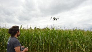 Le secteur des productions végétales est le plus innovant en matière d'agriculture numérique.