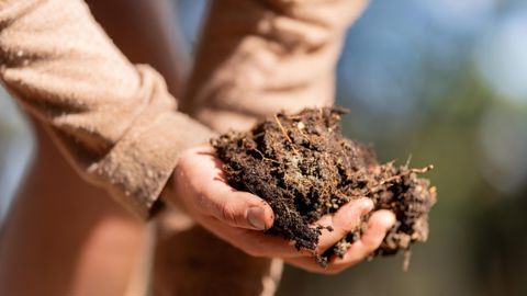 Pas de formations continues ou très rarement pour 47 % des lecteurs de Terre-net.