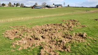 50 000 dossiers d'indemnisation pour des dégâts de gibier, sont ouverts chaque année selon la Fédération nationale des chasseurs. 50 000 dossiers d'indemnisation pour des dégâts de gibier, sont ouverts chaque année selon la Fédération nationale des chasseurs.