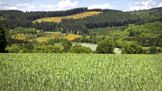 Dans leur rapport, les experts du JRC se projettent dans trois scénarios agro-économiques différents d'ici à 2040. Dans leur rapport, les experts du JRC se projettent dans trois scénarios agro-économiques différents d'ici à 2040.