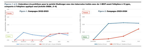 Coloration à la préfriture pour les variétés Challenger
