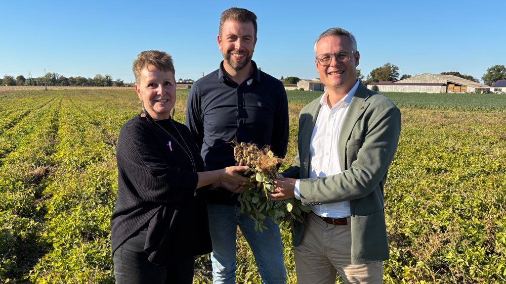 Valérie Arrignon, administratrice Océalia, Mickaël Bertrand, coordinateur filières maïs popcorn et cacahuètes, et Guillaume Lamy, directeur général de Menguy’s, jeudi 16 octobre à Sablonceaux, à l'occasion de la première récolte des cacahuètes picto-charentaises.
