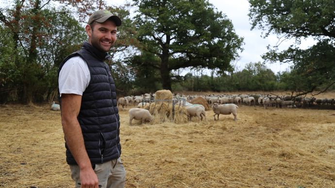 «Je réforme vite les brebis qui ne sont pas gestantes en pratiquant des échographies deux mois après la fin de la lutte », indique Victor Leglantier.