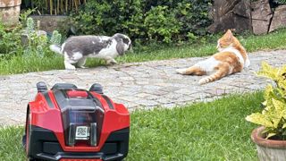 Einhell Freelexo Cam Plus 600 : efficace et bon marché