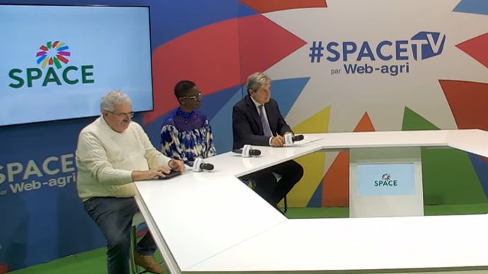 Élevage en Afrique : l’Agripanel 2025 appelle à l'action et à l'innovation