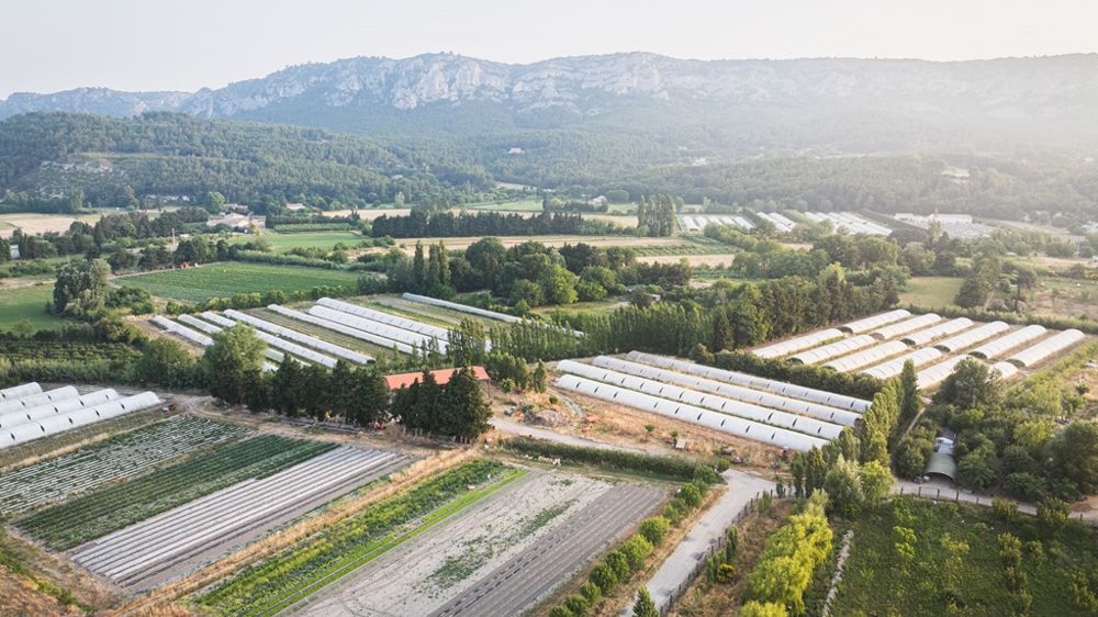 Des solutions sur mesure pour bâtir votre patrimoine
