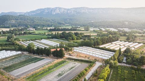 Des solutions sur mesure pour bâtir votre patrimoine
