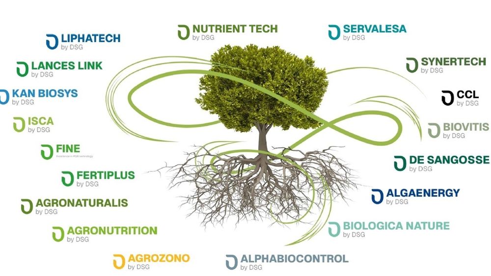 De Sangosse Group De Sangosse Group