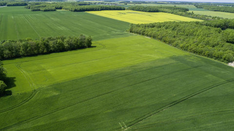 En France et plus largement en Europe, la rotation des cultures est déjà répandue.