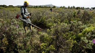 L'arrivée de l'automne et de l'hiver sont les périodes propices pour débroussailler.