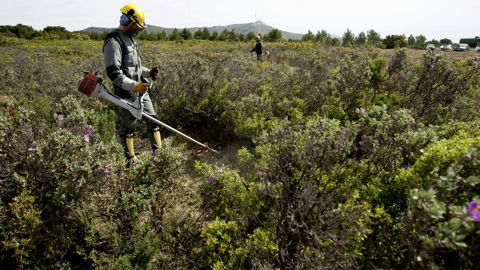 L'arrivée de l'automne et de l'hiver sont les périodes propices pour débroussailler.