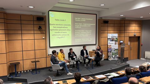 Mercredi 5 novembre, La Coopération agricole a organisé une matinée dédiée à l'agrivoltaïsme.