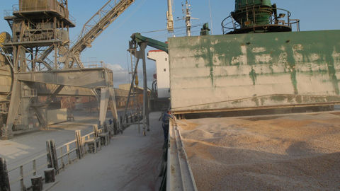 Un certain regain d’intérêt pour le maïs d’origine France se fait ainsi sentir, tirant les prix à la hausse par rapport à la semaine précédente.