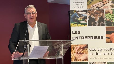 « On ne peut pas décarboner, nourrir l’Europe et renforcer notre souveraineté avec des règles qui changent tous les trois mois », fustigeait David Saelens, président de La Coopération agricole Nutrition animale, lors de la convention de l'organisation, jeudi 6 novembre à Bruxelles.
