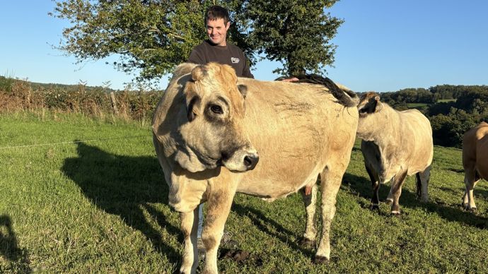 Environ 25 femelles sont gardées pour le renouvellement chaque année. Le reste du troupeau est vendu en maigre sur les places de marché.