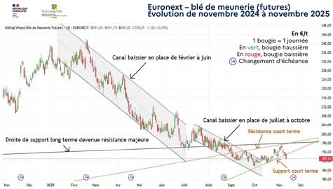 Evolution du cours du blé sur Euronext