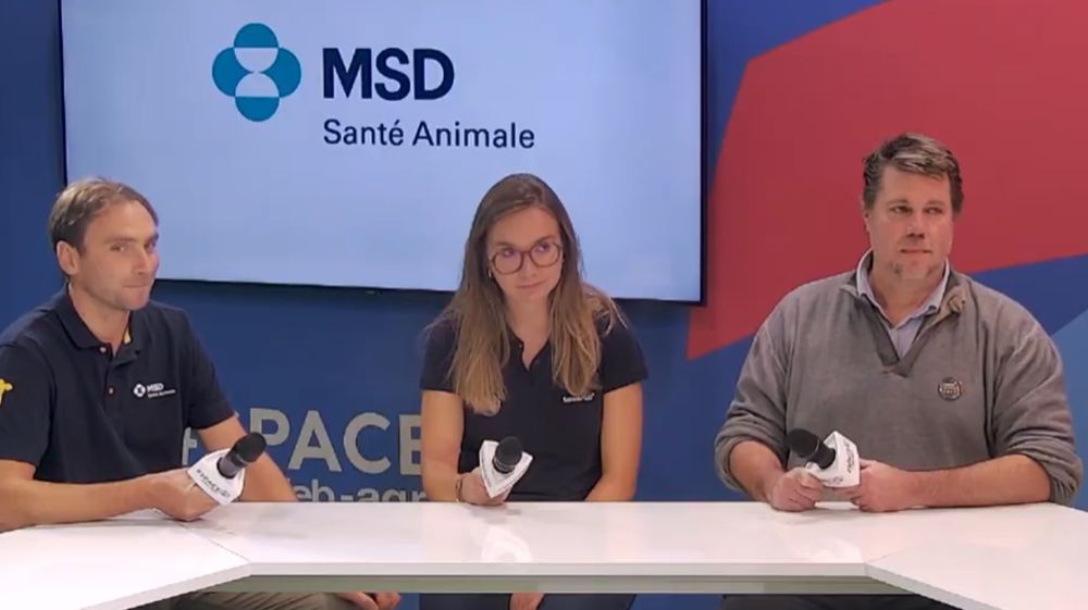 Santé des veaux : colostrum, vaccination et monitoring, piliers de la prévention