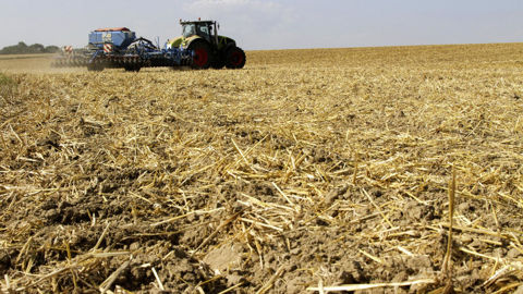 Dès lors qu’il y a plutôt des avantages à migrer du conventionnel vers l’ACS, la mission du CGAAER estime « opportun » de venir en soutien aux agriculteurs qui souhaitent se lancer.