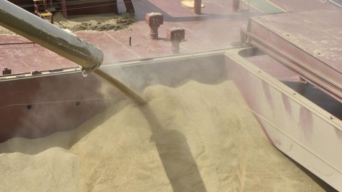 L’accélération des flux à l’exportation d’origine mer Noire entraîne les cours des céréales au niveau d’il y a trois semaines.