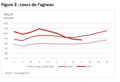 Cours de l'agneau Cours de l'agneau