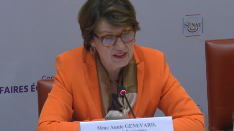 La ministre de l'Agriculture, Annie Genevard, a été auditionnée par la commission des affaires économiques, au Sénat, le 19 novembre 2025.