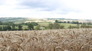 La proposition de réforme de la Pac implique un changement profond des méthodes de travail et de répartition des responsabilités.