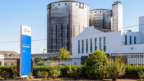 Le prix moyen du sucre a chuté de 860 euros la tonne en 2023 à 530 euros en 2024.