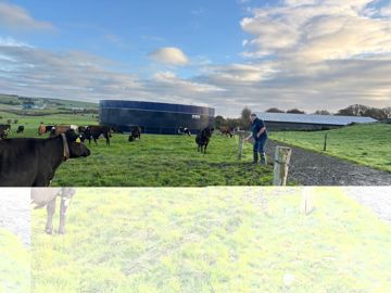 gestion des eaux usées en élevage