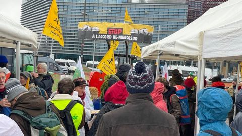 Des agriculteurs de la Confédération paysanne ont manifesté lundi 24 novembre 2025 devant le Parlement européen à Strasbourg.