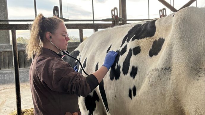 Photo 1 : auscultation au stéthoscope.