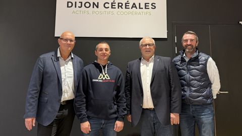 De gauche à droite : Simon Bilbot, actuel directeur du pôle Distribution de Dijon céréales et futur DG, Benoît Collardot, vice-président, Didier Lenoir, président, ainsi que Christophe Richardot, actuel DG jusqu'au 31 décembre.