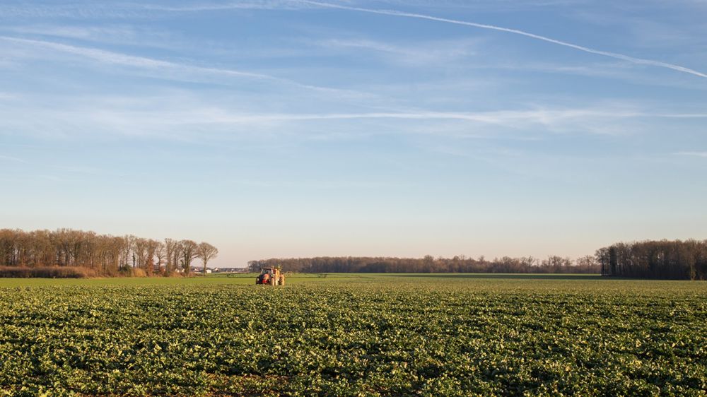 La hausse globale des ventes de produits phytosanitaires est entièrement due à celle des produits utilisables en agriculture bio, selon Phyteis.