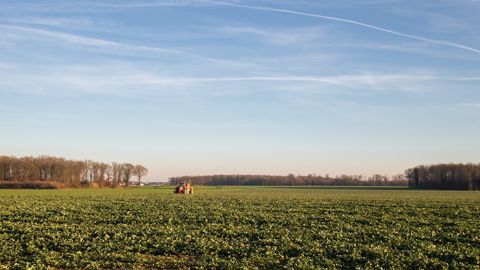 La hausse globale des ventes de produits phytosanitaires est entièrement due à celle des produits utilisables en agriculture bio, selon Phyteis.