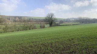 « Les semis progressent bien dans la plupart des régions et l’implantation des céréales d’hiver et du colza est généralement favorable », informe la Commission européenne au 24 novembre 2025.