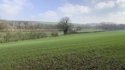 « Les semis progressent bien dans la plupart des régions et l’implantation des céréales d’hiver et du colza est généralement favorable », informe la Commission européenne au 24 novembre 2025.