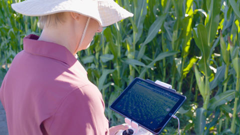 Grâce à l’IA, les sélectionneurs peuvent analyser des milliers de données en quelques secondes, ce qui aurait demandé auparavant des années et des milliers de personnes.