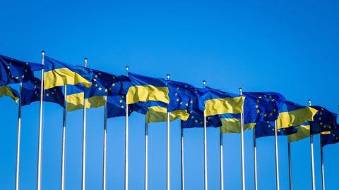 Une adhésion de l'Ukraine à l'Union européenne accélèrerait la nécessaire mutation de l'agriculture du pays, et contraindrait l'UE à revoir la Pac en profondeur.