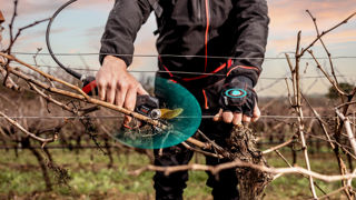 Contactless : un dispositif de sécurité sans contact pour les sécateurs Infaco