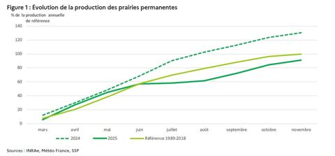 Production des prairies permanentes