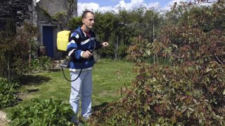 L’OFB note que la plupart des particuliers utilisant ces produits ne sont pas conscients des risques qu’ils encourent.