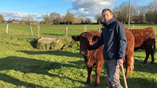 Les Salers en vêlage deux ans ont un gabarit moindre lors de la mise bas, mais Thomas Pollet espère pouvoir rattraper un éventuel retard de croissance par une complémentation plus soutenue sur les primipares allaitantes.
