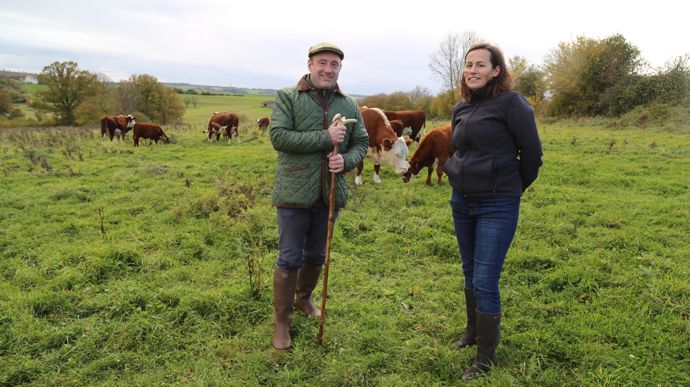 « De la pâture et rien d’autre pour nos vaches herefords »