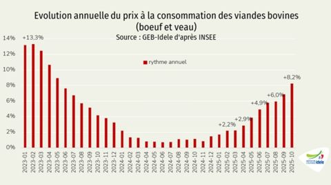 Evolution du prix de la viande bovine à la consommation
