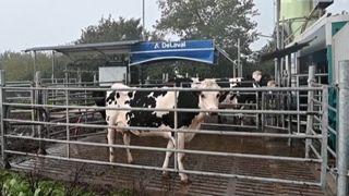 vache holstein robot mobile extérieur