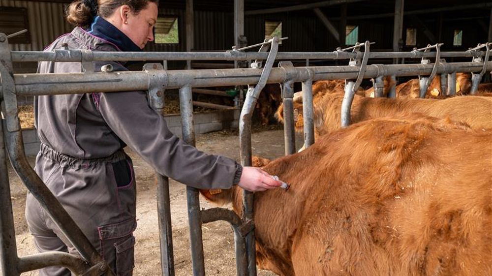 Pour François Purseigle, « c'est une multitude de coups, qui expliquent que la colère prend encore plus ».