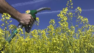 Les biocarburants de première génération (produits à partir de colza, tournesol, betterave, maïs…) seraient exclus de la nouvelle réglementation sur les véhicules légers que propose la Commission européenne.