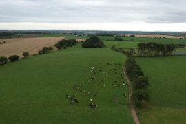 En cas de refus d’autorisation d'exploiter, le préfet est compétent pour mettre en demeure l’intéressé, par lettre recommandée avec accusé de réception de cesser l’exploitation des terres