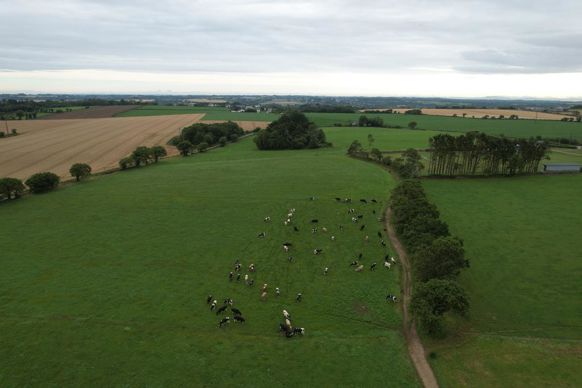 En cas de refus d’autorisation d'exploiter, le préfet est compétent pour mettre en demeure l’intéressé, par lettre recommandée avec accusé de réception de cesser l’exploitation des terres