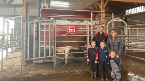 Au Gaec Roc'h Avel, le robot de traite remplace la salle de traite depuis le mois de septembre 2024.